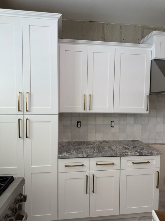 South Phoenix Project